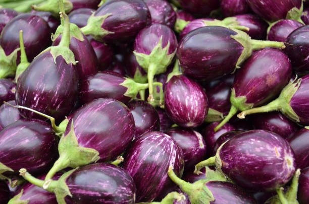 Raw ripe Eggplant display at Vegetable Stall of Local Market at Little India, Singapore
