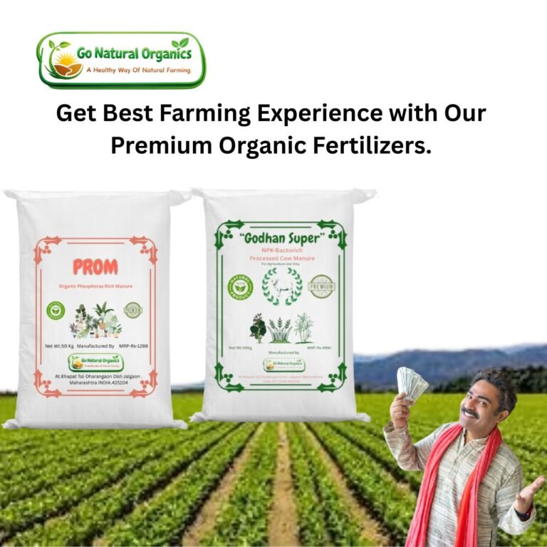 WhatsApp Image 2025-12-30 at 11.04.02 AM